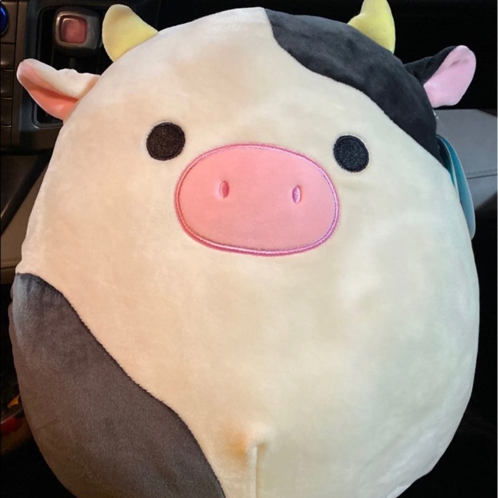 Connor the Cow Squishmallow 12”